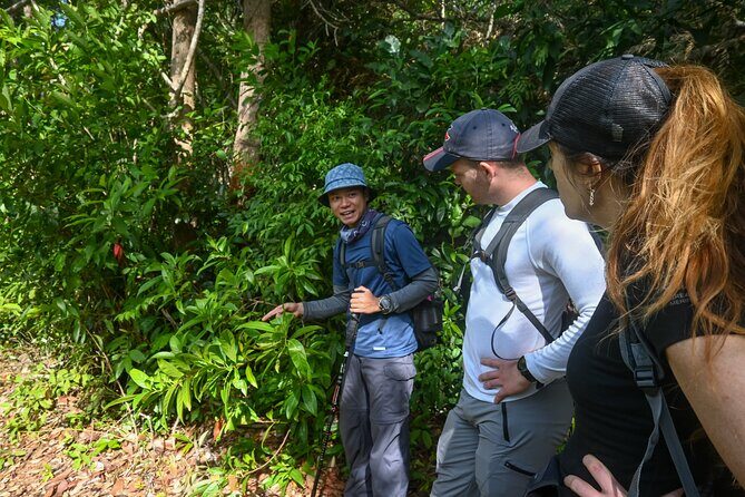 Trekking Tien Son Dinh Phu Quoc - Timing, pickup, and what the day rhythm feels like