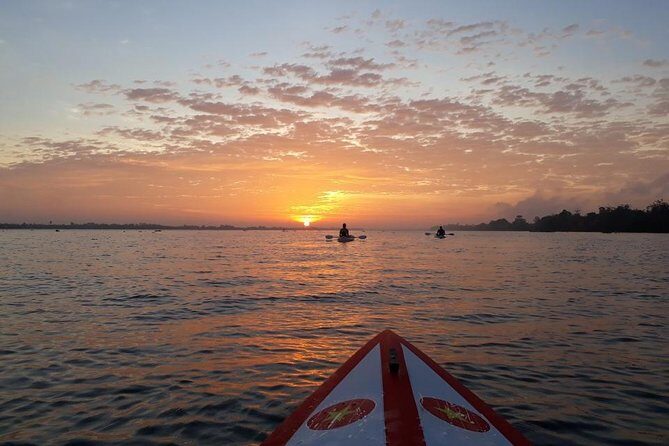 Two -day Journey Off the Beaten Path for a True Mekong Adventure - Day 1 in Tien Giang: Bike Through Rural Delta Life, Then Paddle