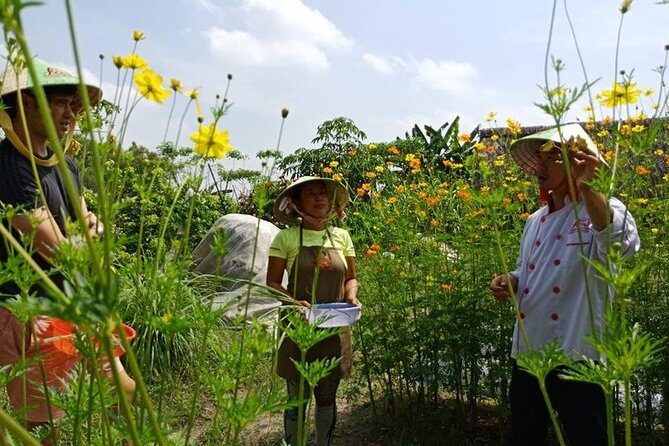 Unique farm to Table cooking class in Saigon - Enjoying what you made: lunch plus coffee or tea