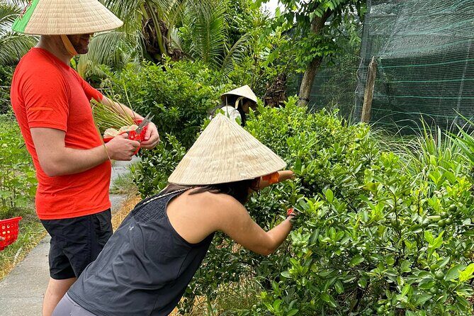 Unique Farm to Table Cooking Class with Top Chef in Vietnam - Price and value: why $67 can work (if you want to learn)