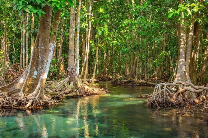 Vam Sat Mangrove Forest - VIP Private Tour - Getting out of Ho Chi Minh City: pickup and the morning rhythm