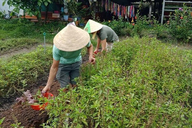 Vietnamese Cooking Class and Cu Chi Tunnels Tour from Ho Chi Minh City - The rubber tree plantation stop: a meaningful farming glimpse, if timing works