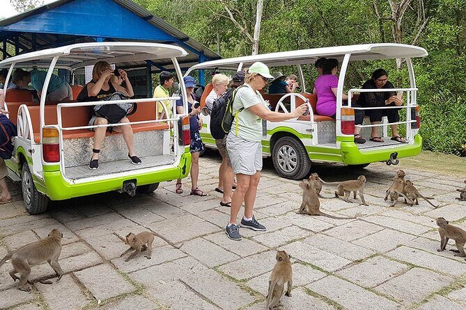 VIP Tour in Vam Sat: Can Gio Mangrove Forest by SpeedBoat - Entering UNESCO Can Gio: mangroves, wetlands, and why this reserve matters
