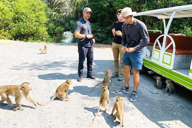 VIP Tour in Vam Sat: Can Gio Mangrove Forest by SpeedBoat - Pickup at Bach Đằng pier, small-group energy, and what to bring